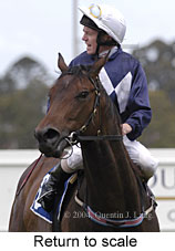 Return to scale (13579 bytes)