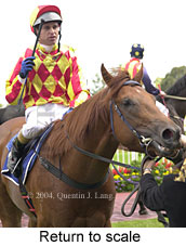 Return to scale (13579 bytes)