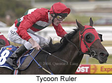 Tycoon Ruler (14736 bytes)