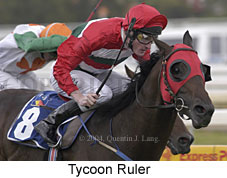 Tycoon Ruler (15329 bytes)