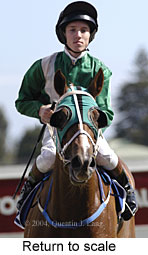 Return to scale (14353 bytes)