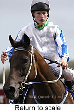 Return to scale (13211 bytes)