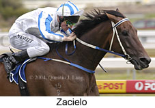 Zacielo (13864 bytes)