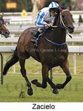 Zacielo (14575 bytes)