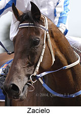 Zacielo (13594 bytes)