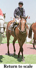 r2rtosc.jpg (22333 bytes)