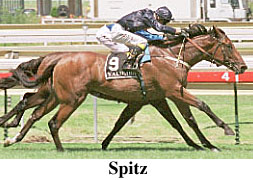 r2spitz.jpg (28456 bytes)