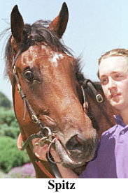 r2spitz2.jpg (23546 bytes)