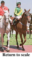 r3rtosc.jpg (21043 bytes)