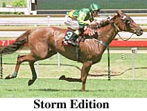 r3stmed.jpg (19124 bytes)