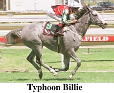 r4typhb.jpg (19453 bytes)