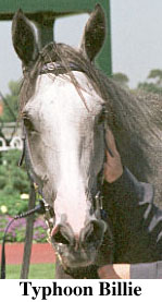 r4typhb2.jpg (19591 bytes)