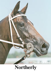 r5nthly2.jpg (17815 bytes)