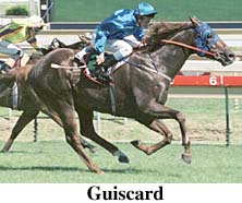 r6guiscard.jpg (20346 bytes)