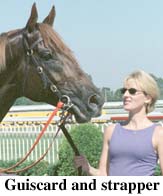 r6guiscard2.jpg (14590 bytes)