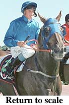 r6rtosc.jpg (15596 bytes)