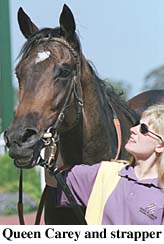 r7qcarey.jpg (16318 bytes)