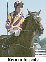 r7rtosc.jpg (18965 bytes)