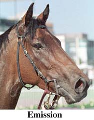 r8em2.jpg (16109 bytes)