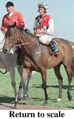 r8rtosc.jpg (17059 bytes)