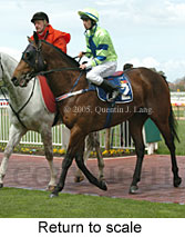 Return to scale (14008 bytes)