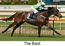 The Boot (14772 bytes)