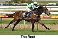 The Boot (14772 bytes)