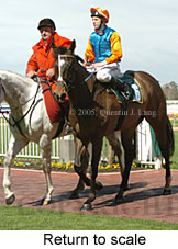 Return to scale (14008 bytes)