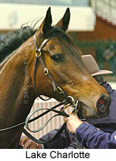 Lake Charlotte (14772 bytes)