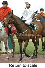 Return to scale (14008 bytes)