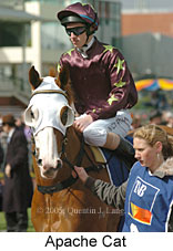 Apache Cat (14772 bytes)