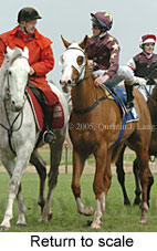 Return to scale (14008 bytes)