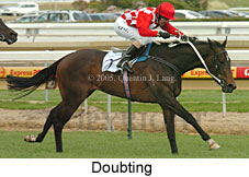 Doubting (14772 bytes)