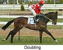 Doubting (14772 bytes)