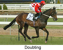 Doubting (14772 bytes)