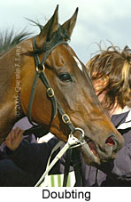 Doubting (14772 bytes)