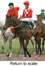 Return to scale (14008 bytes)