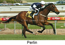 Perlin (14772 bytes)