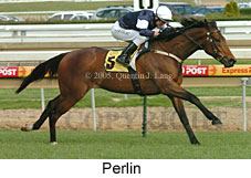 Perlin (14772 bytes)