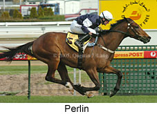 Perlin (14772 bytes)