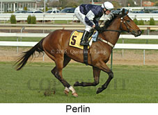 Perlin (14772 bytes)