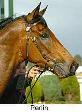 Perlin (14772 bytes)