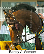 Barely A Moment (14772 bytes)