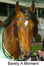 Barely A Moment (14772 bytes)