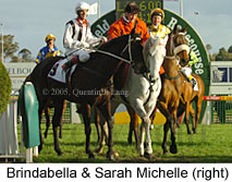 Return to scale (14008 bytes)