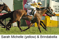 Sarah Michelle & Brindabella  (14772 bytes)