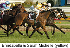 Sarah Michelle & Brindabella  (14772 bytes)