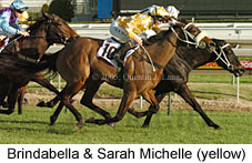 Sarah Michelle & Brindabella  (14772 bytes)