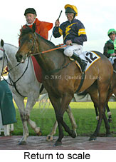 Return to scale (14008 bytes)