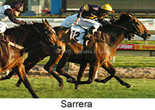 Sarrera  (14772 bytes)